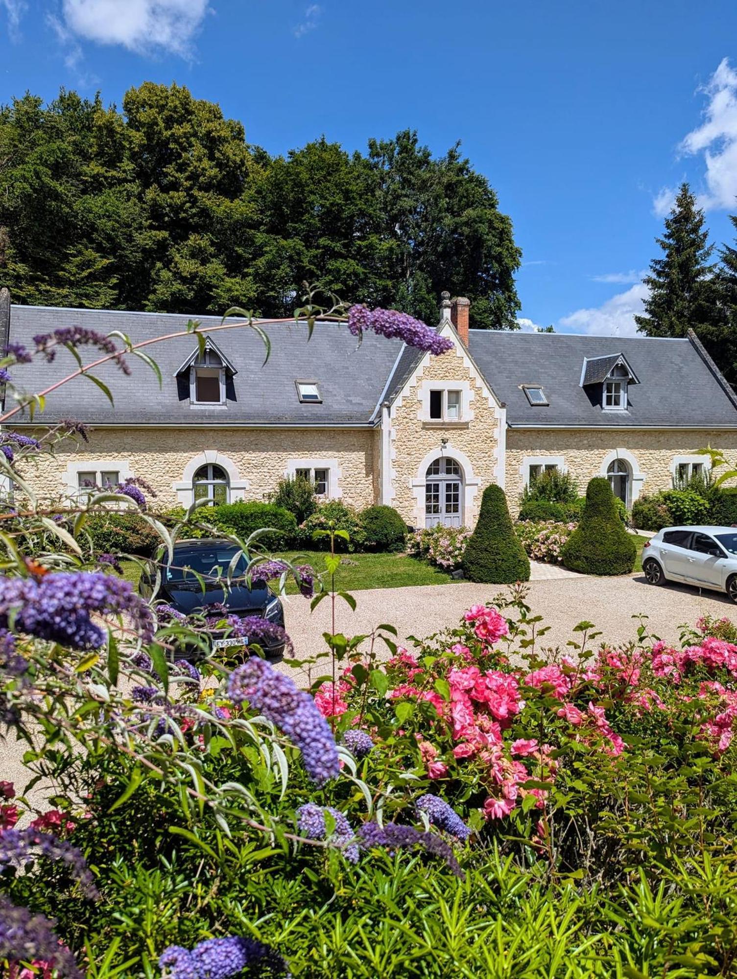 Chateau De La Menaudiere Шиссе-ан-Турен Экстерьер фото