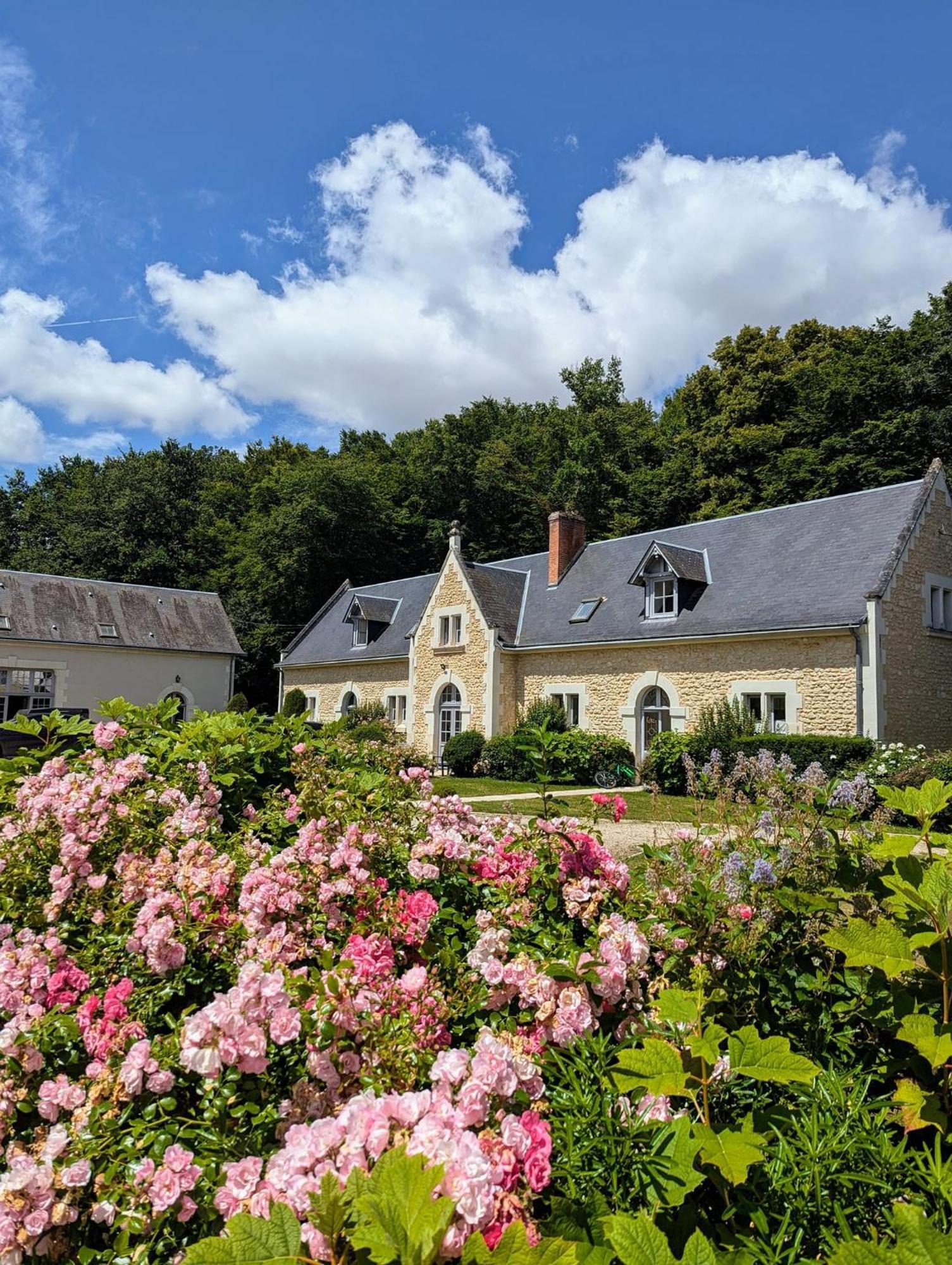 Chateau De La Menaudiere Шиссе-ан-Турен Экстерьер фото